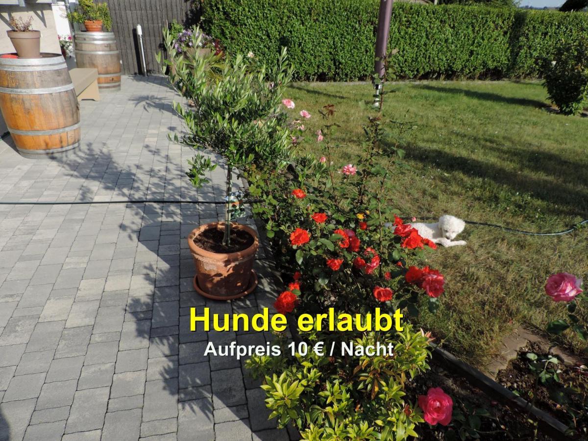 Die Ferienwohnung - Wittenberg An Den Elbwiesen Exterior foto