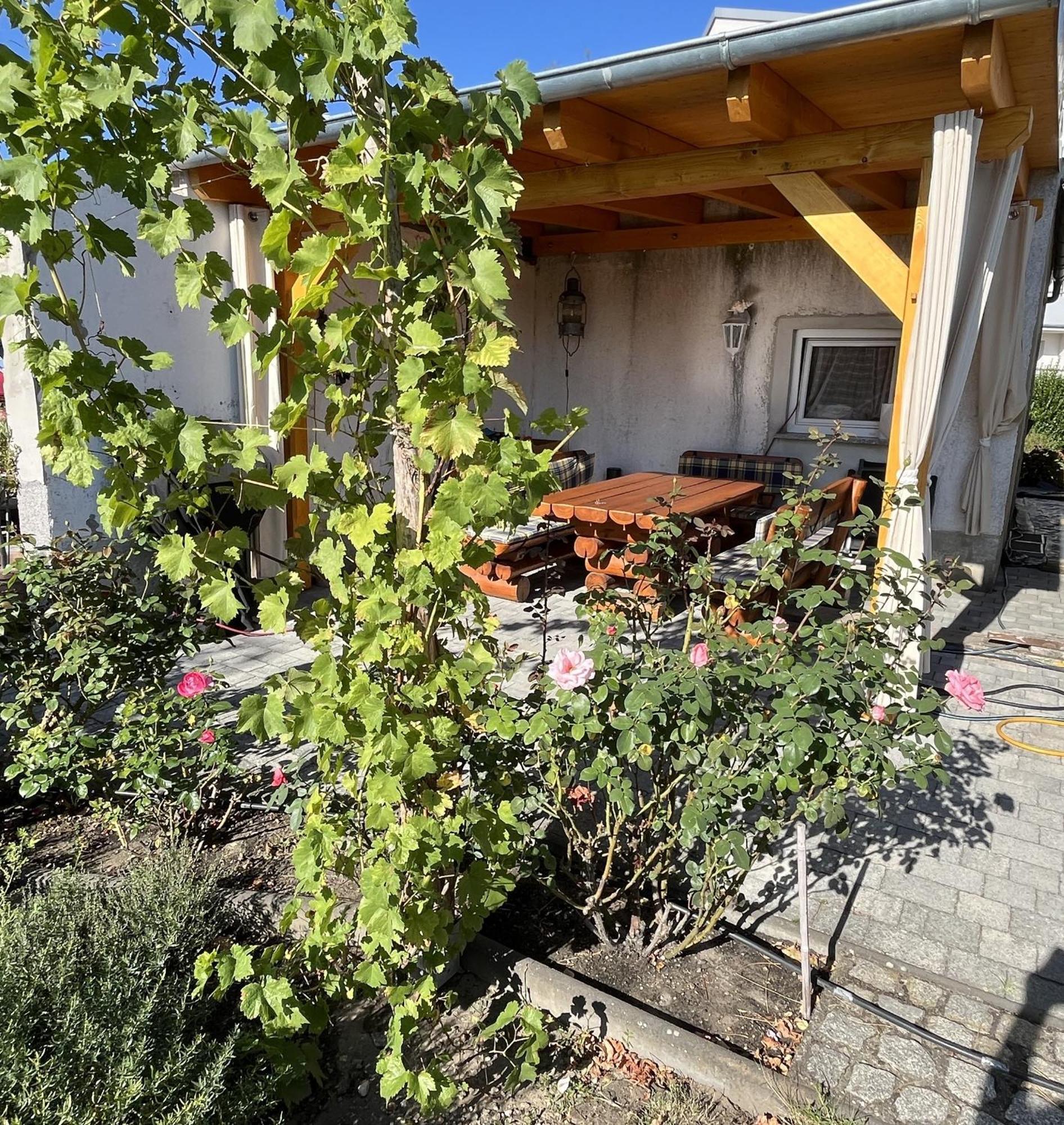 Die Ferienwohnung - Wittenberg An Den Elbwiesen Exterior foto